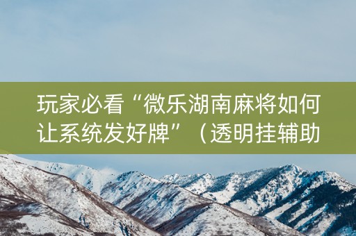 玩家必看“微乐湖南麻将如何让系统发好牌”（透明挂辅助器)