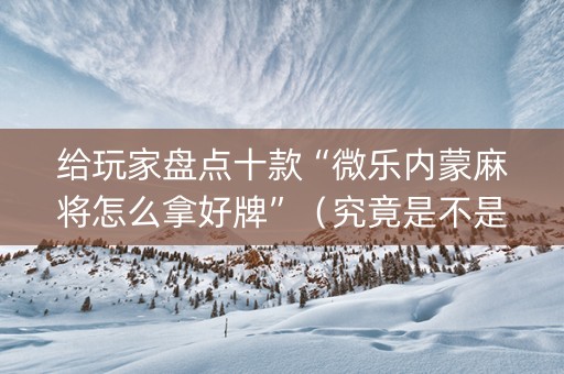 给玩家盘点十款“微乐内蒙麻将怎么拿好牌”（究竟是不是有挂)