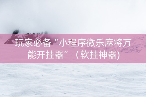 玩家必备“小程序微乐麻将万能开挂器”（软挂神器)