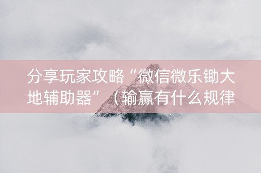 分享玩家攻略“微信微乐锄大地辅助器”（输赢有什么规律)