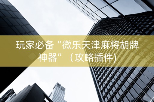 玩家必备“微乐天津麻将胡牌神器”（攻略插件)