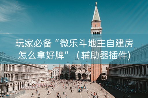 玩家必备“微乐斗地主自建房怎么拿好牌”（辅助器插件)