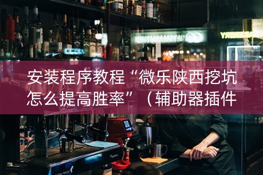 安装程序教程“微乐陕西挖坑怎么提高胜率”（辅助器插件)
