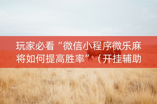 玩家必看“微信小程序微乐麻将如何提高胜率”（开挂辅助器脚本)