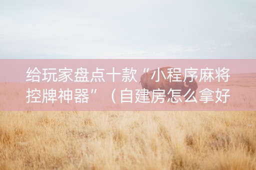 给玩家盘点十款“小程序麻将控牌神器”（自建房怎么拿好牌)