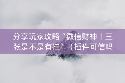 分享玩家攻略“微信财神十三张是不是有挂”（插件可信吗)