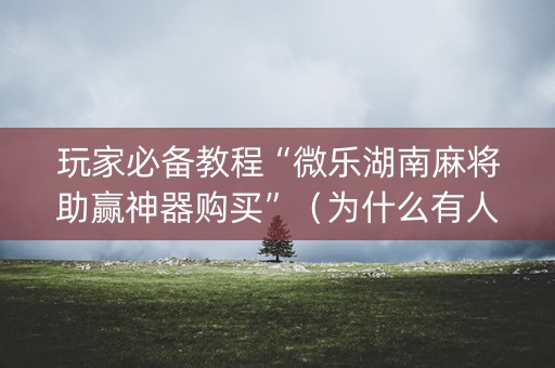 玩家必备教程“微乐湖南麻将助赢神器购买”（为什么有人一直赢)