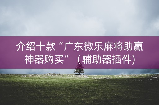 介绍十款“广东微乐麻将助赢神器购买”（辅助器插件)