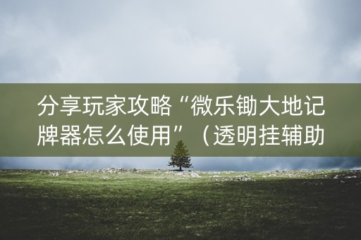 分享玩家攻略“微乐锄大地记牌器怎么使用”（透明挂辅助器)