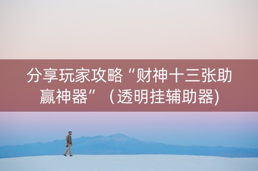 分享玩家攻略“财神十三张助赢神器”（透明挂辅助器)