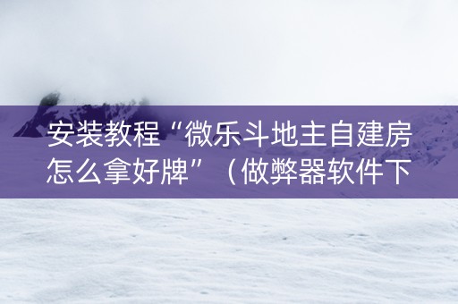 安装教程“微乐斗地主自建房怎么拿好牌”（做弊器软件下载)