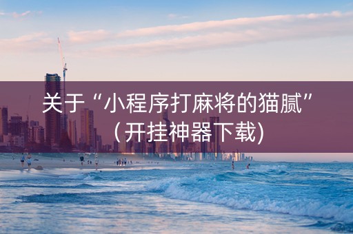 关于“小程序打麻将的猫腻”（开挂神器下载)