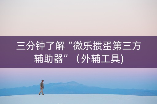 三分钟了解“微乐掼蛋第三方辅助器”（外辅工具)