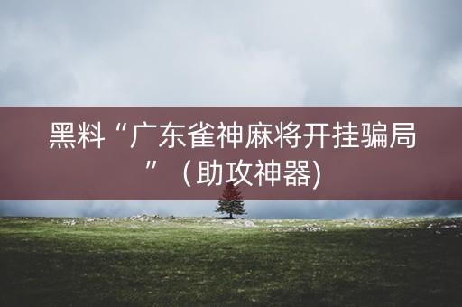 黑料“广东雀神麻将开挂骗局”（助攻神器)
