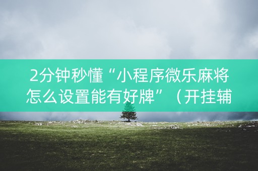 2分钟秒懂“小程序微乐麻将怎么设置能有好牌”（开挂辅助脚本)