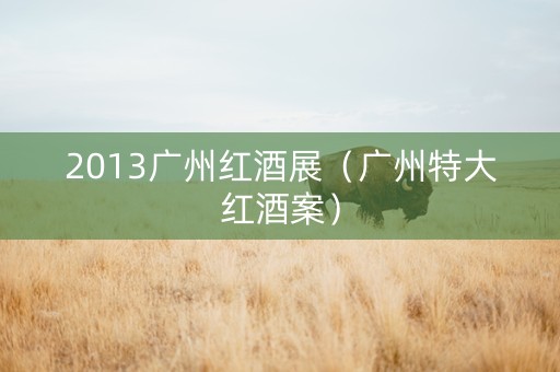 2013广州红酒展（广州特大红酒案）