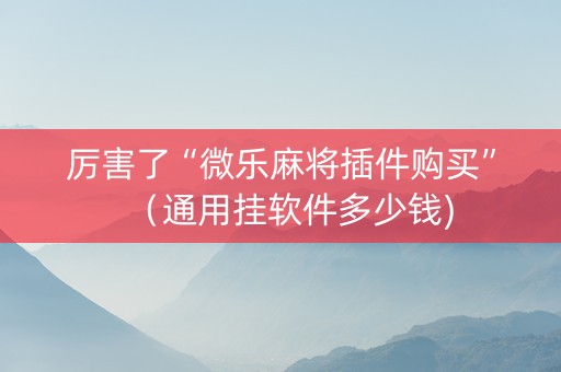 厉害了“微乐麻将插件购买”（通用挂软件多少钱)