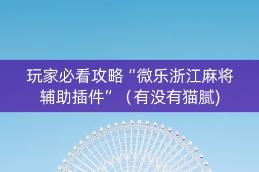 玩家必看攻略“微乐浙江麻将辅助插件”（有没有猫腻)