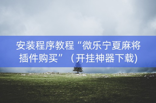安装程序教程“微乐宁夏麻将插件购买”（开挂神器下载)