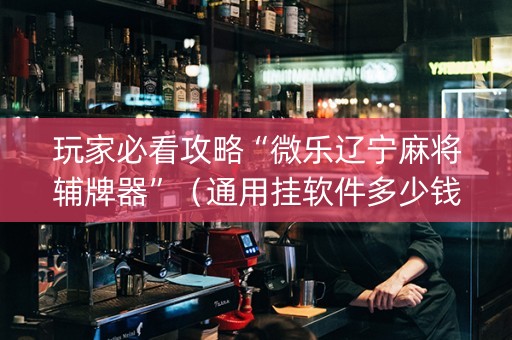 玩家必看攻略“微乐辽宁麻将辅牌器”（通用挂软件多少钱)
