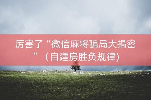 厉害了“微信麻将骗局大揭密”（自建房胜负规律)