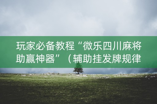 玩家必备教程“微乐四川麻将助赢神器”（辅助挂发牌规律)