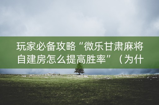 玩家必备攻略“微乐甘肃麻将自建房怎么提高胜率”（为什么有人一直赢)