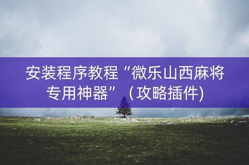 安装程序教程“微乐山西麻将专用神器”（攻略插件)