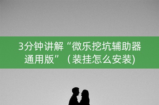 3分钟讲解“微乐挖坑辅助器通用版”（装挂怎么安装)