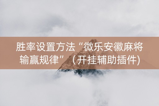 胜率设置方法“微乐安徽麻将输赢规律”（开挂辅助插件)