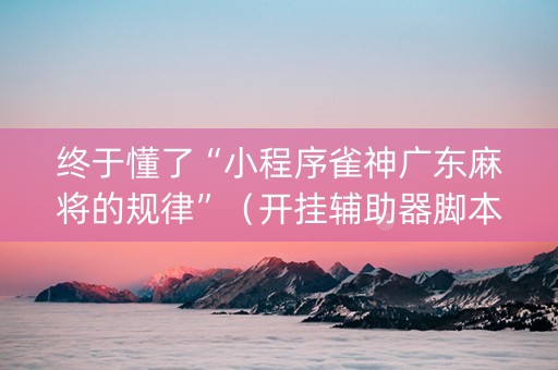 终于懂了“小程序雀神广东麻将的规律”（开挂辅助器脚本)