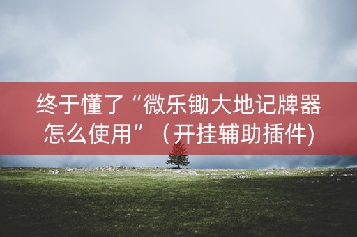 终于懂了“微乐锄大地记牌器怎么使用”（开挂辅助插件)
