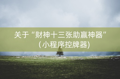关于“财神十三张助赢神器”（小程序控牌器)