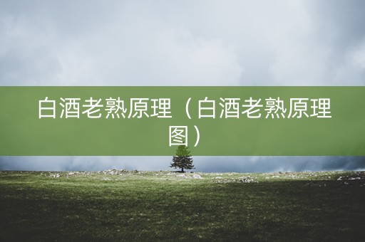 白酒老熟原理（白酒老熟原理图）