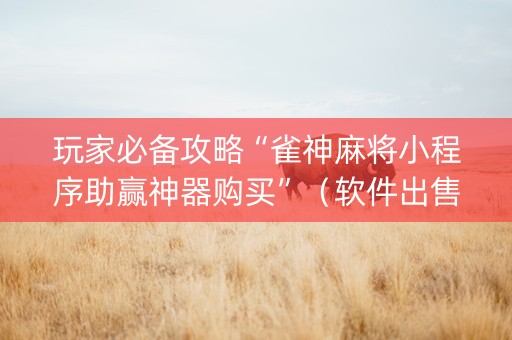 玩家必备攻略“雀神麻将小程序助赢神器购买”（软件出售)
