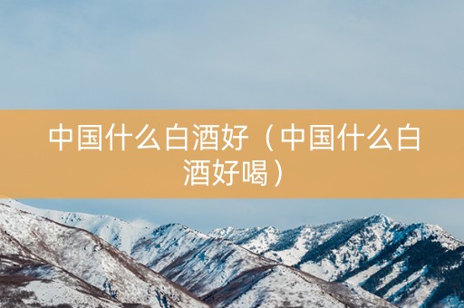 中国什么白酒好（中国什么白酒好喝）