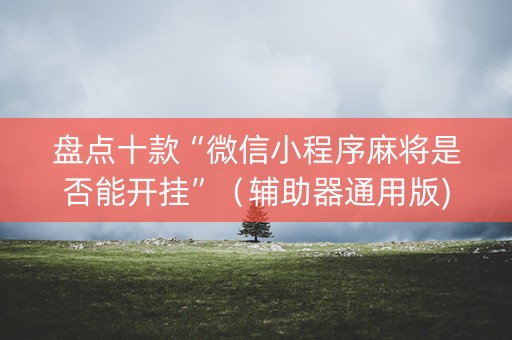 盘点十款“微信小程序麻将是否能开挂”（辅助器通用版)