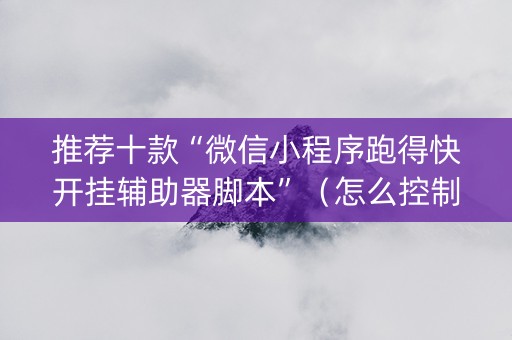 推荐十款“微信小程序跑得快开挂辅助器脚本”（怎么控制输赢)