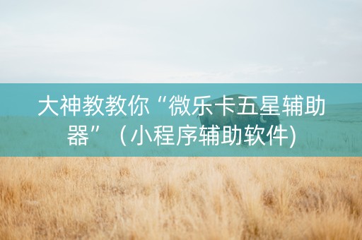 大神教教你“微乐卡五星辅助器”（小程序辅助软件)