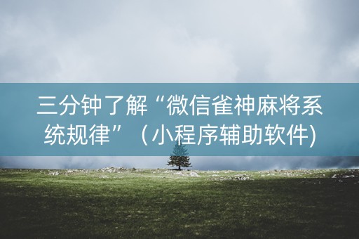 三分钟了解“微信雀神麻将系统规律”（小程序辅助软件)