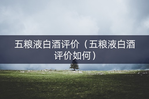 五粮液白酒评价（五粮液白酒评价如何）