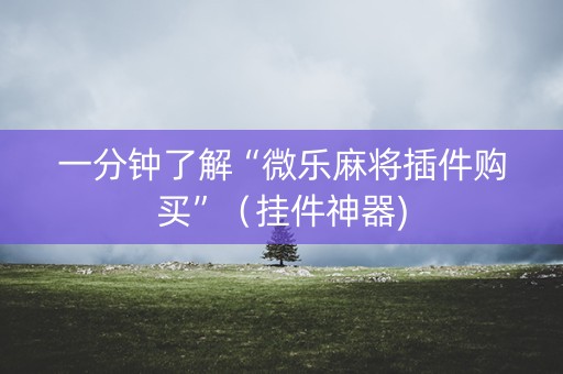一分钟了解“微乐麻将插件购买”（挂件神器)