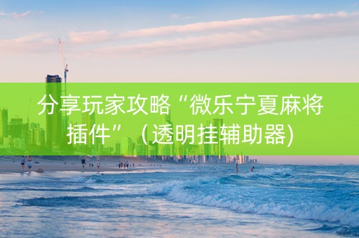分享玩家攻略“微乐宁夏麻将插件”（透明挂辅助器)