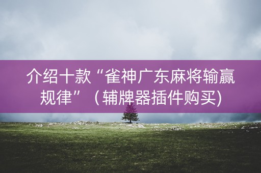 介绍十款“雀神广东麻将输赢规律”（辅牌器插件购买)