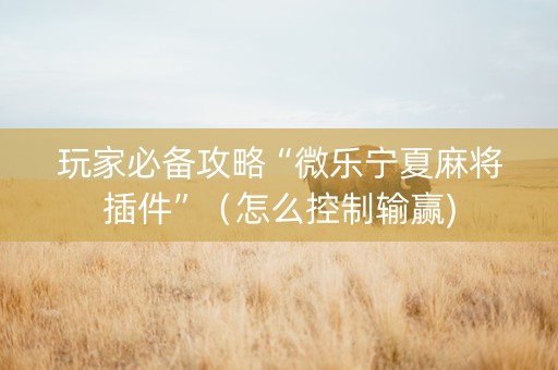 玩家必备攻略“微乐宁夏麻将插件”（怎么控制输赢)