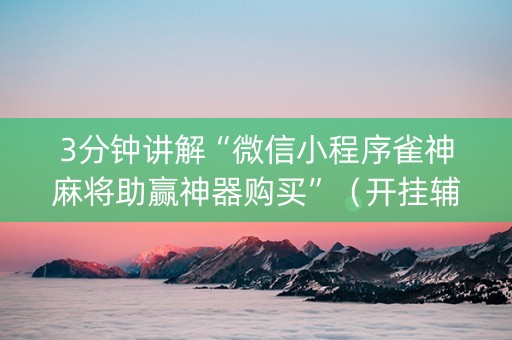 3分钟讲解“微信小程序雀神麻将助赢神器购买”（开挂辅助器插件)