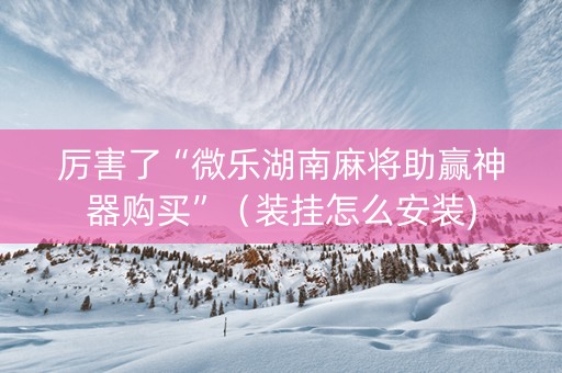 厉害了“微乐湖南麻将助赢神器购买”（装挂怎么安装)