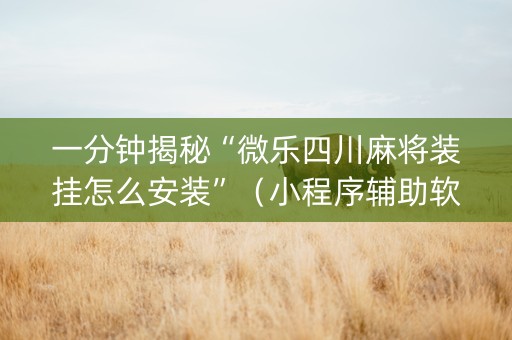 一分钟揭秘“微乐四川麻将装挂怎么安装”（小程序辅助软件)