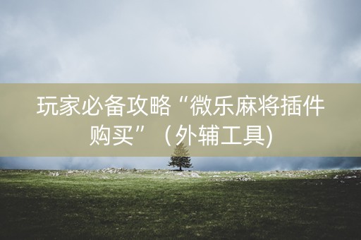 玩家必备攻略“微乐麻将插件购买”（外辅工具)