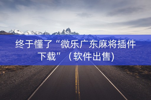 终于懂了“微乐广东麻将插件下载”（软件出售)